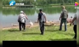 河南男网红吃瓜事件视频,揭秘网络舆论的风暴与真相